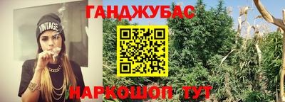 прущий лед Гусь-Хрустальный