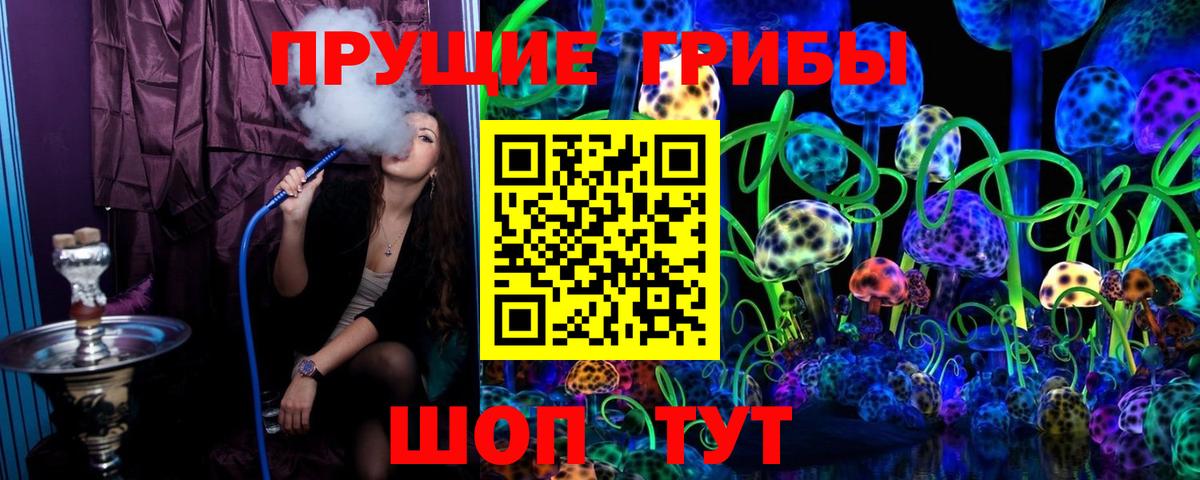 Галлюциногенные грибы MAGIC MUSHROOMS  Вход с VPN  Минеральные Воды 
