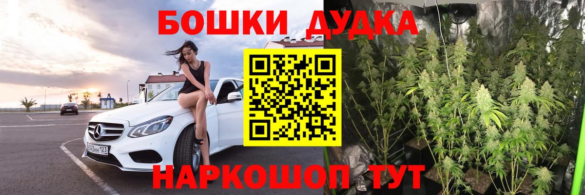 Марихуана OG Kush  Канабис план  Вход с VPN  Минеральные Воды 